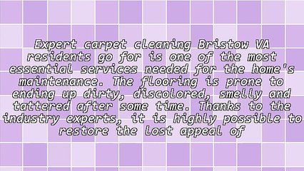 Opting For Professional Carpet Cleaning Bristow VA Companies Offer