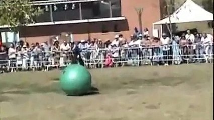 Parelli Horse Playing with Big Green Ball!