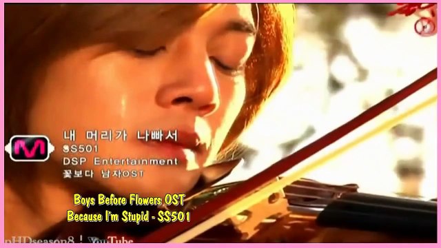 Boys Before Flowers OST Because I'm Stupid SS501 ( Sub español + Romanización )