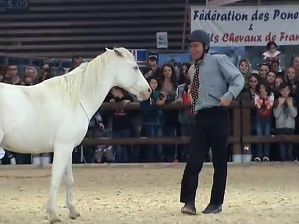 Le Casting  à Equitalyon 2013