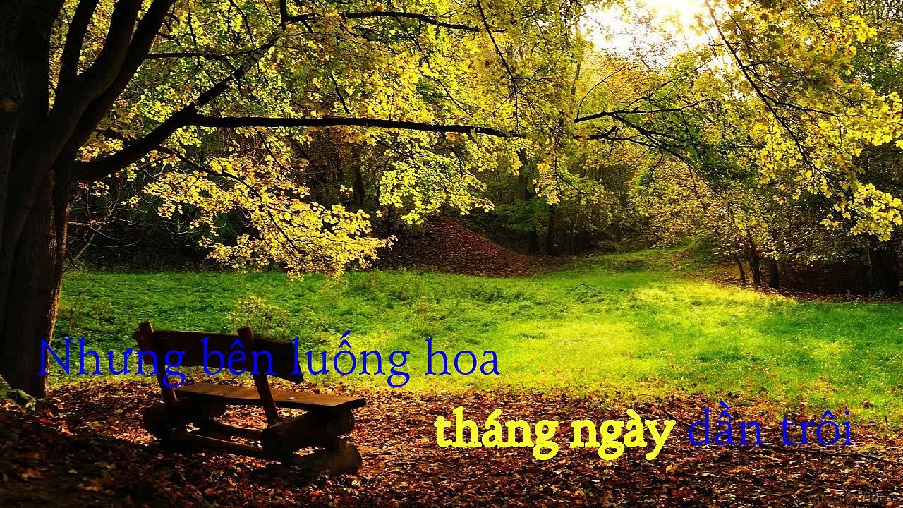 [Karaoke] Kiếp Hoa