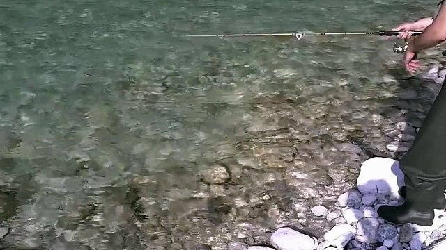 Pesca alla trota Marmorata in Friuli, Resia. Trout fishing in Italian Alps.