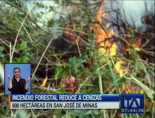 Download Video: Incendio forestal consume 600 hectáreas de páramo y bosque en San José de Minas