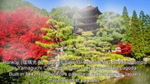 Japan Travel: An Abundance of Nature and History at Rurikoji Temple Yamaguchi, Japan Moochan