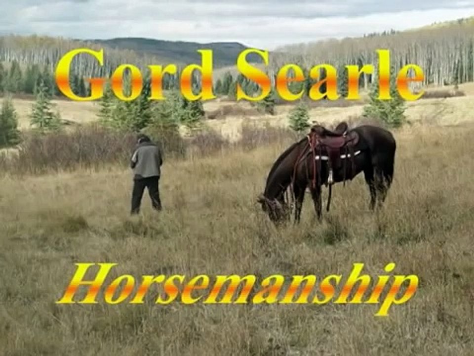 How to video on Trailer Loading difficult horses.