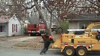 Knuckleboom tree removal