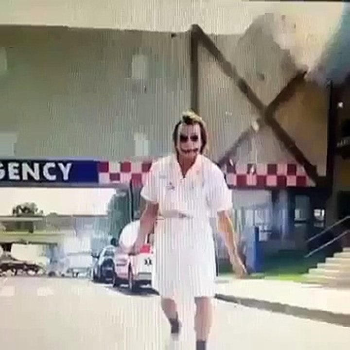 Sunshine, Lollipops howto loop remake, The sexiest dog