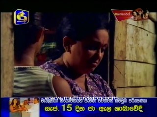 anguru 7915 B
