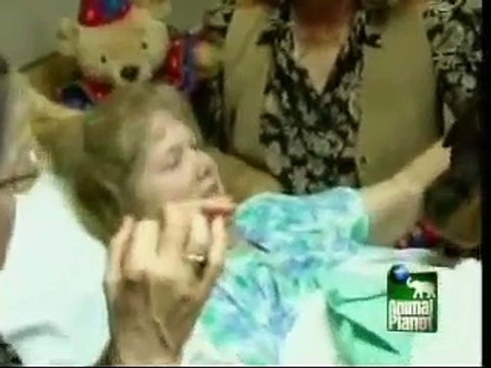 All about Rottweiler part 1 of 3