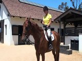 Simple Flexion Exercise for Your Horse