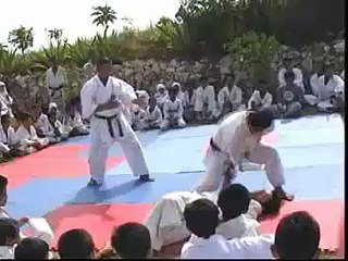kushin ryu jujitsu