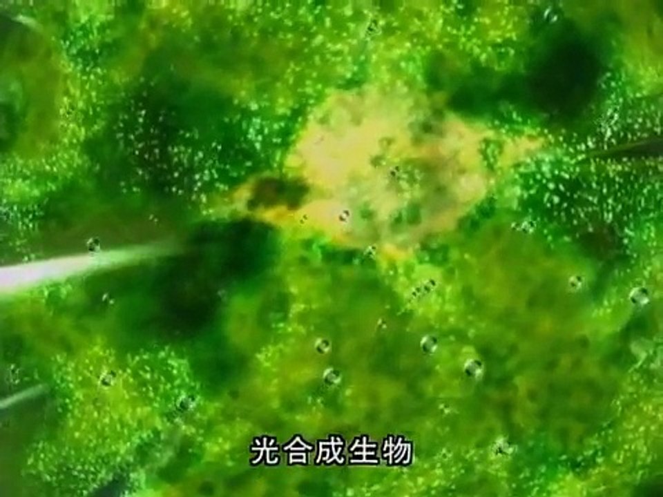 ～46億年・人類への旅～ 第2集 全球凍結