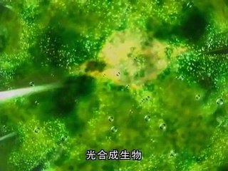 ～46億年・人類への旅～ 第2集 全球凍結