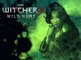 The Witcher 3: Wild Hunt, El Mundo de The Witcher