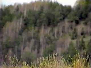 Lela - Poslednje stanice