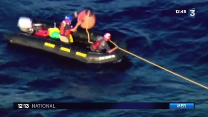 Californie : une baleine bleue piégée dans un filet de pêche