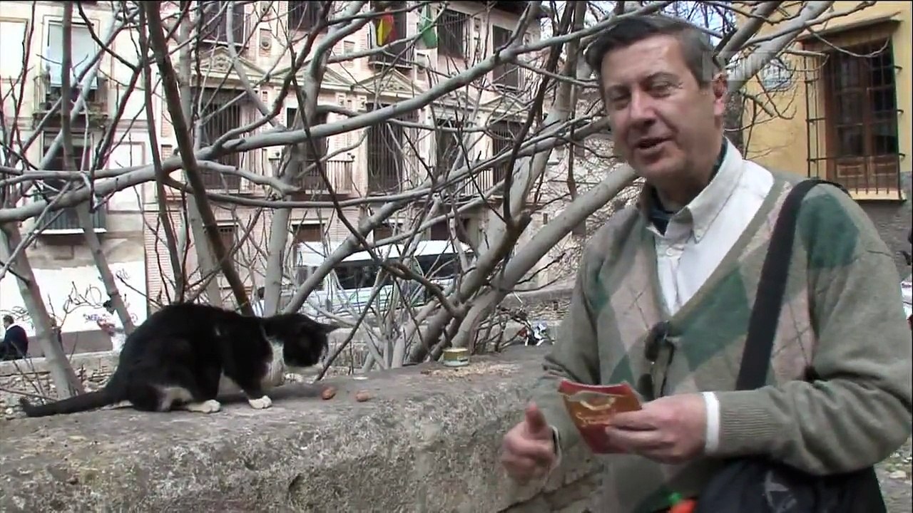 『地中海・猫の旅6500キロ』から「グラナダ（スペイン）」2/2