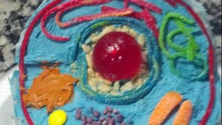 animal cell 7th grade project