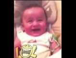 Funniest Baby Laugh EVER Evil Laughing Baby