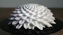 Incredible 3D-Printed Blooming Sculptures