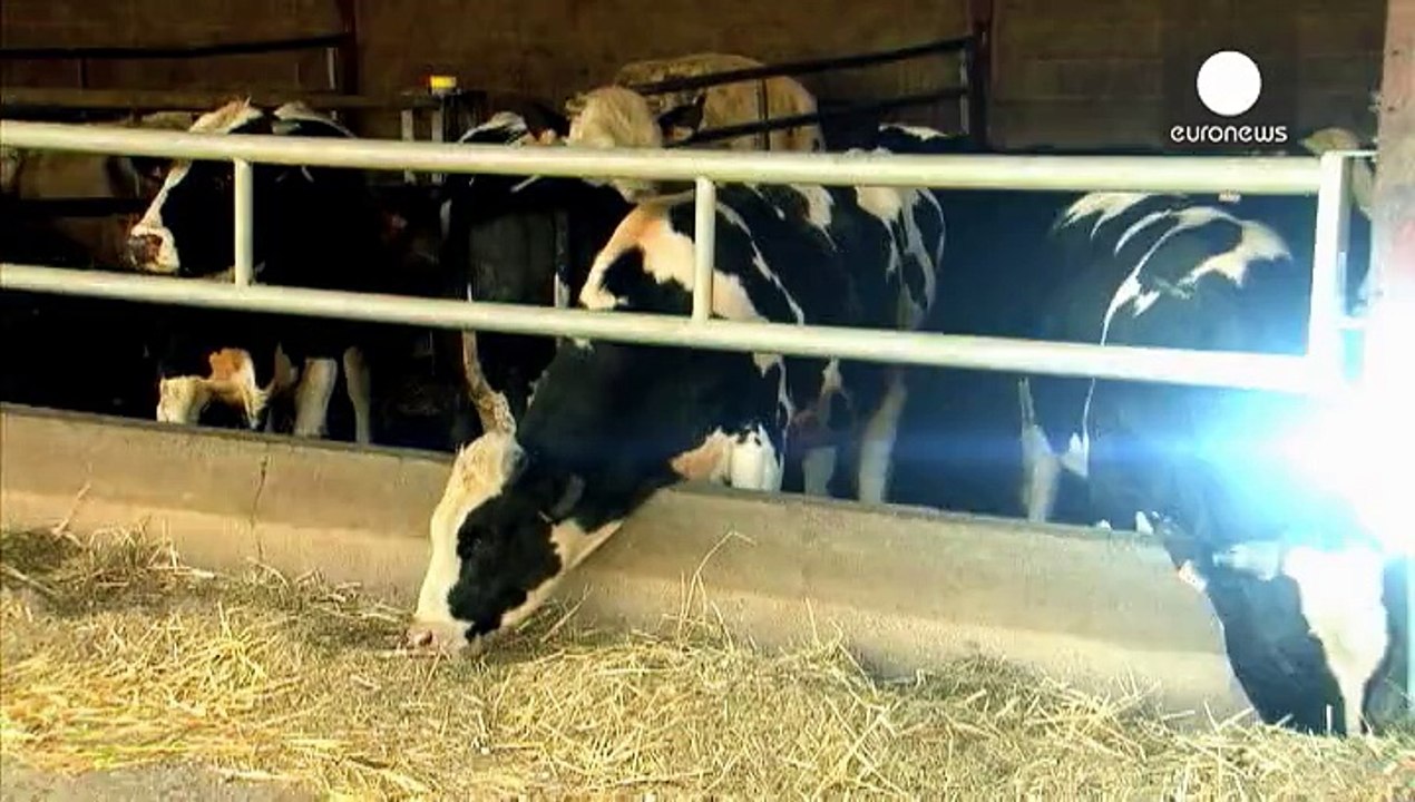French farmers struggle amid slump in milk and...