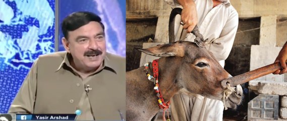 Sheikh Rasheed on Haram meat issue in Punjab