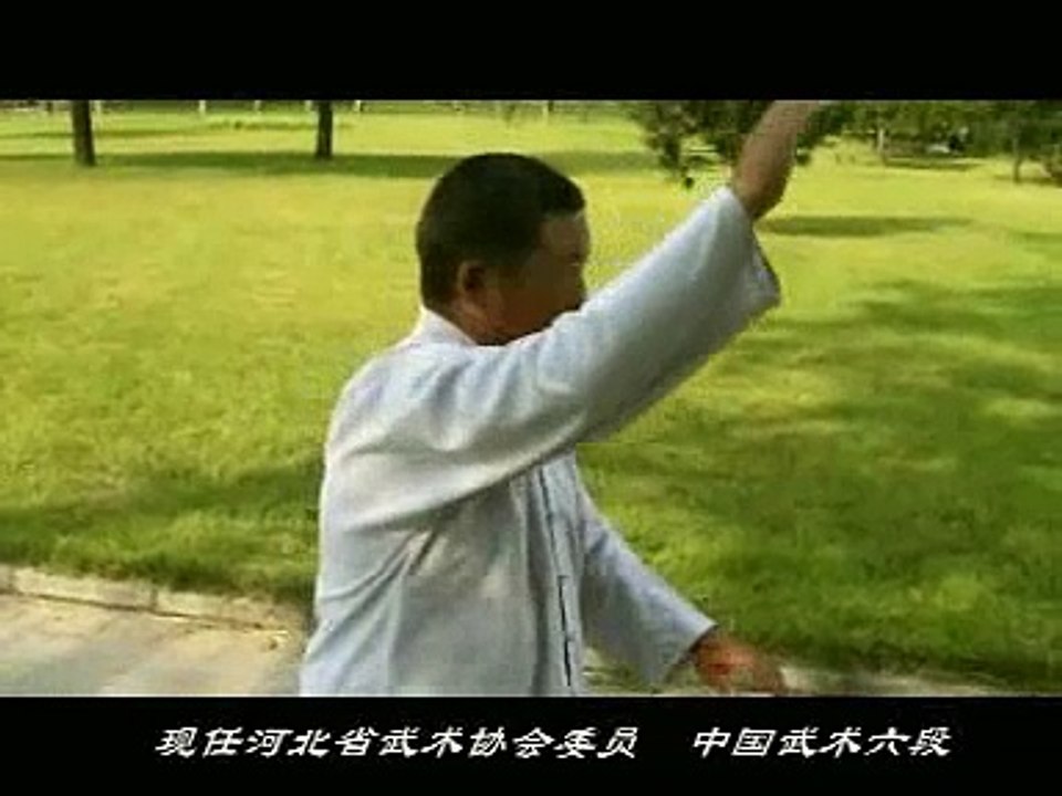 杨氏太极拳85式