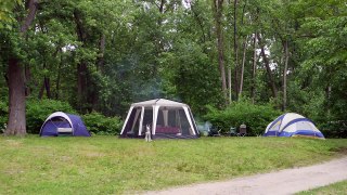 Mishka the Talking Husky Goes Camping with 5 Dogs!