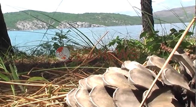 Liqeni i Vaut të Dejës, destinacioni i preferuar i adhuruesve të natyrës- Ora News- Lajmi i fundit-