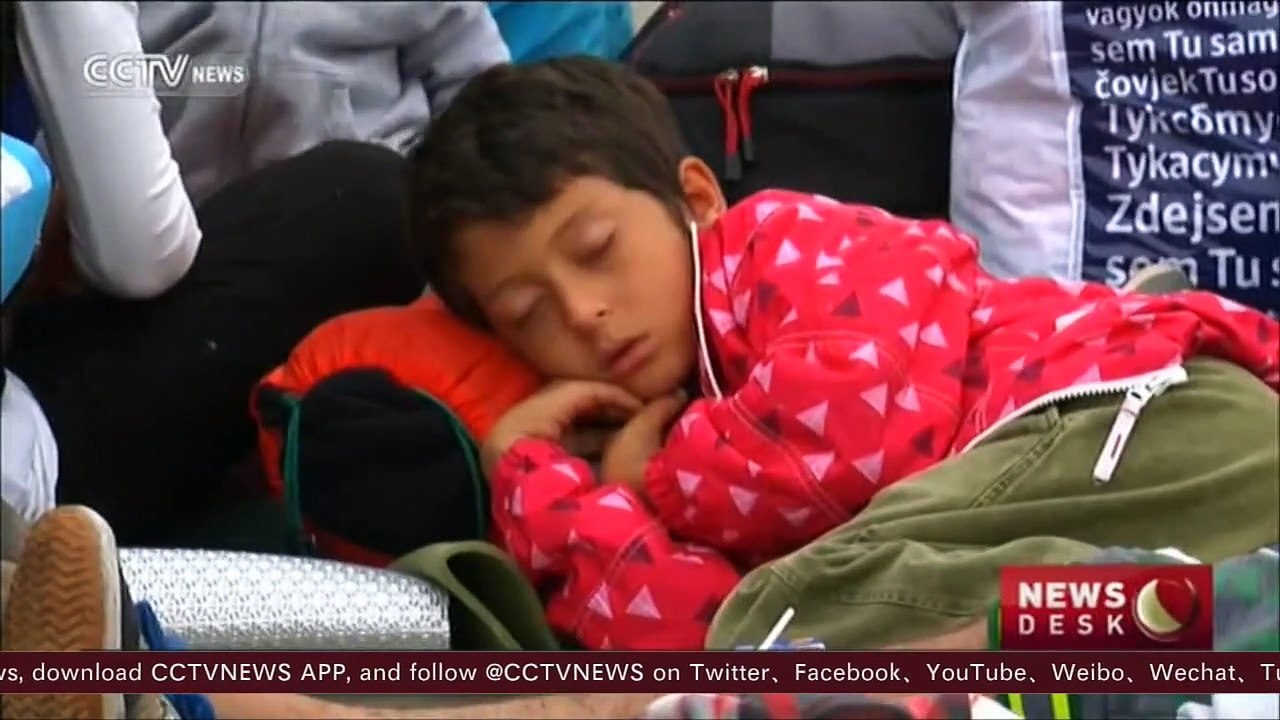 US urged to take more refugees by international organization
