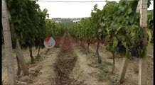 Kantina e re e verës “Skënderbeu” pak kilometra larg Tiranës, vitin tjetër tregtohet jashtë