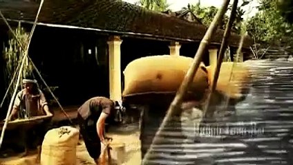 Phim "Đồng Quê" - Trailer