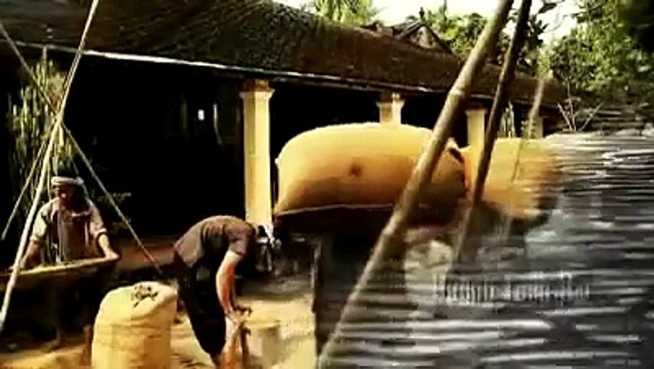 Phim "Đồng Quê" - Trailer