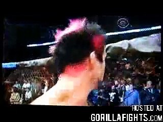 Kimbo Slice Gets knocked out