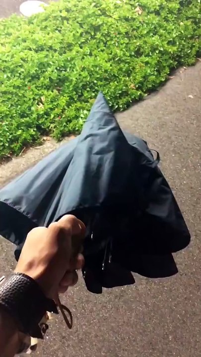 L'arme parapluie