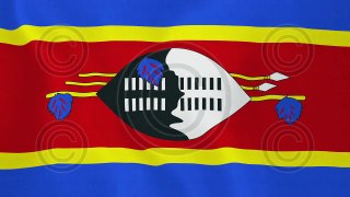 Loopable: Flag of Swaziland - Royalty-Free Stock Footage
