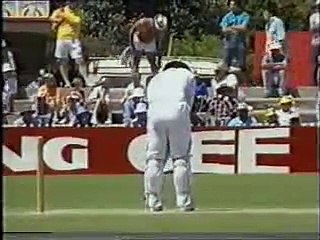 Teenaage Darren Lehmann smashes 228, way back in 1989, 1st FC hundred, vs NSW. -RARE-
