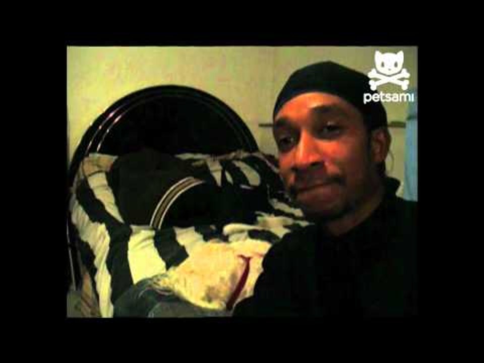 Dog loses staring contest with owner