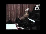 Dogs sing and play the piano together