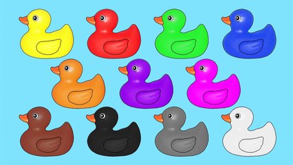 Rubber Ducks Teaching Colors   Learning Basic Colours Video for Kids | song for children