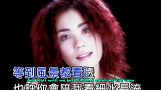 Red Bean (紅豆) by Faye Wong (王菲) with English Subtitles