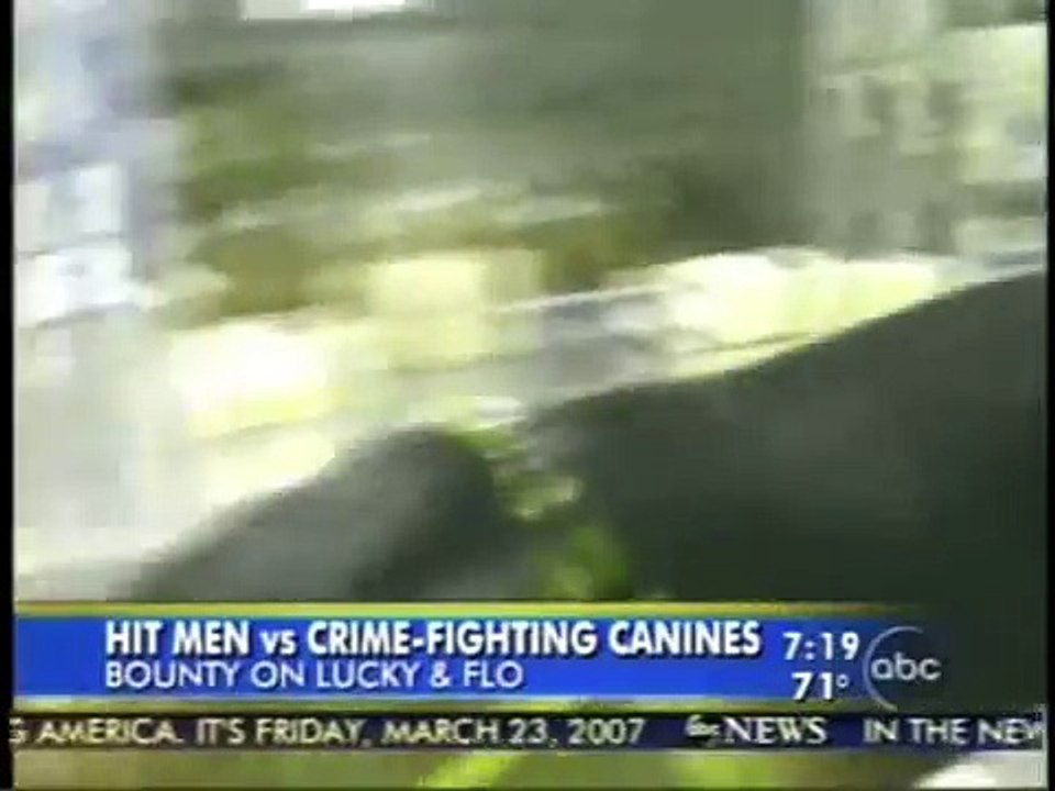 Diane Sawyer's Canine Close Encounter