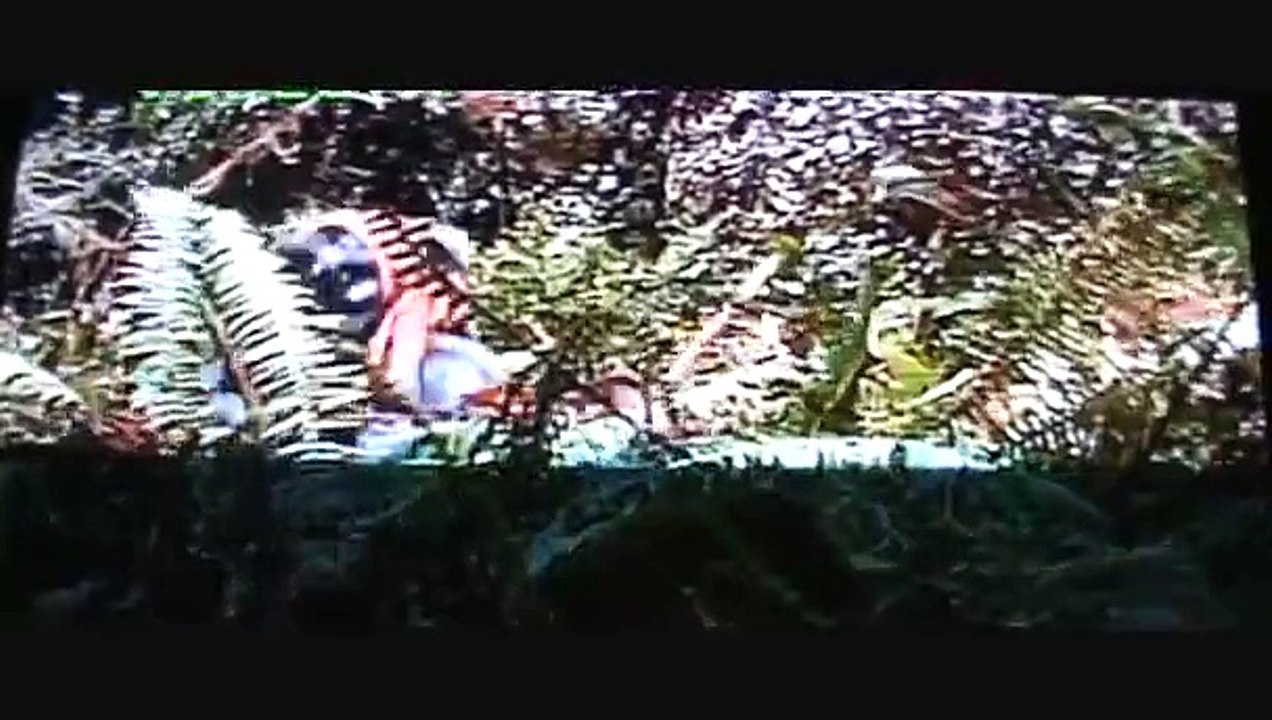 Star Wars Episode VI: Return of The Jedi - Battle on Endor