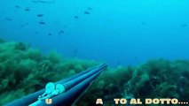 A pesca sui banchi del canale di Sicilia - pesca sub apnea spearfishing