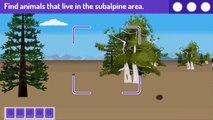 Plum Landing Rocky Mountain Roundup Cartoon Animation PBS Kids Game Play Walkthrough