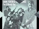 Shane Fenton And The Fentones - Fallen Leaves On The Ground