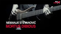 Nemanja Stevanovic- Mortus Dibidus OFFICIAL VIDEO 2015