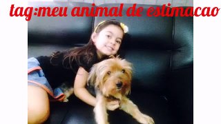 Tag:meu animal de estimacao