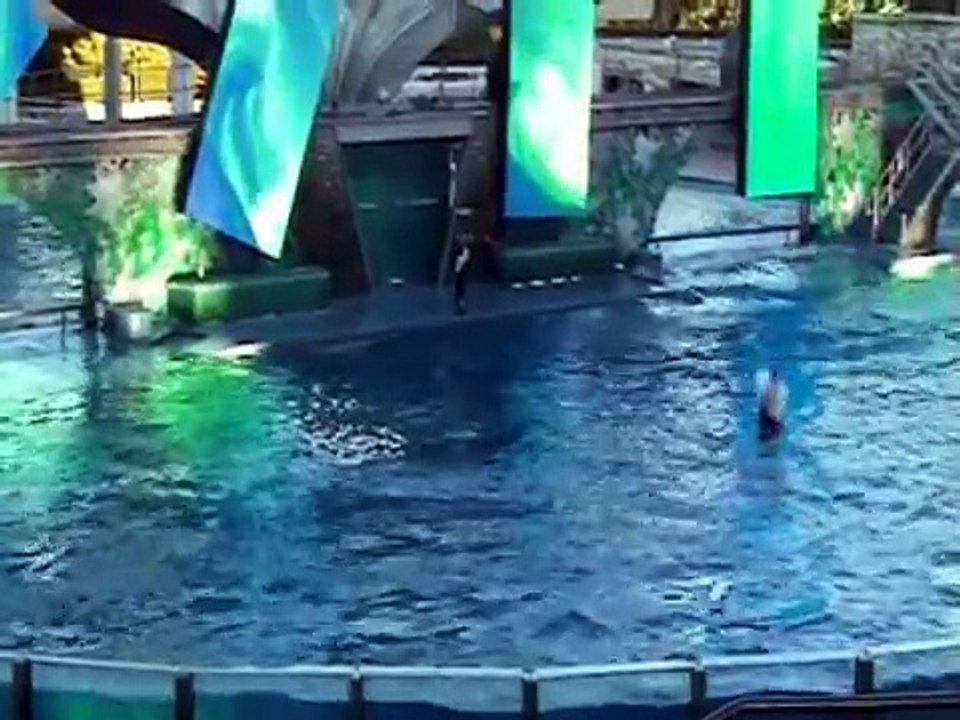 SeaWorld Killer Whale Video - "Something Far Greater" Shamu, Believe
