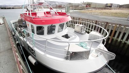 Selfa Arctic Speedsjark 36 - "Elina"